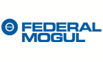 Federal Mogul India